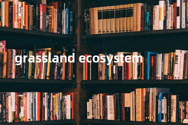 grassland ecosystem单词图解，单词释义场景配图