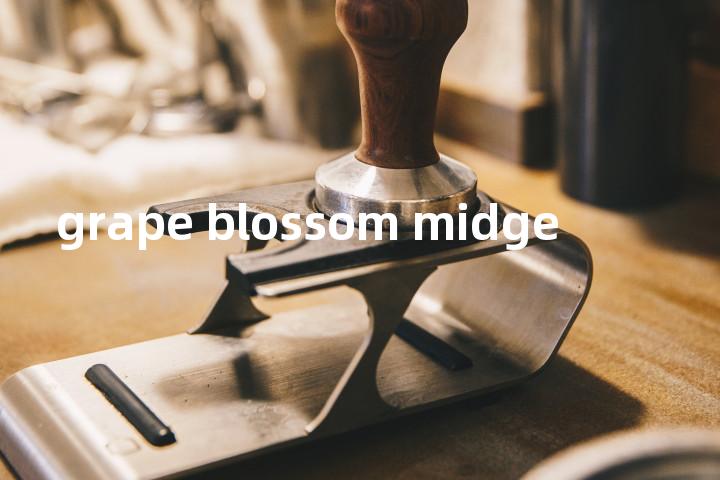 grape blossom midge单词图解，单词释义场景配图