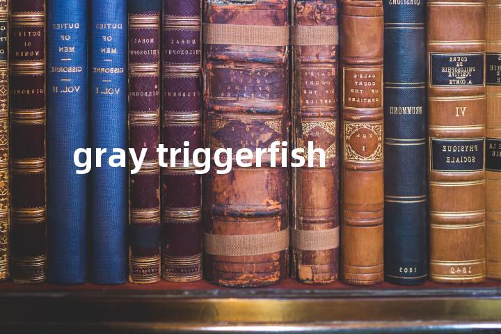gray triggerfish单词图解，单词释义场景配图