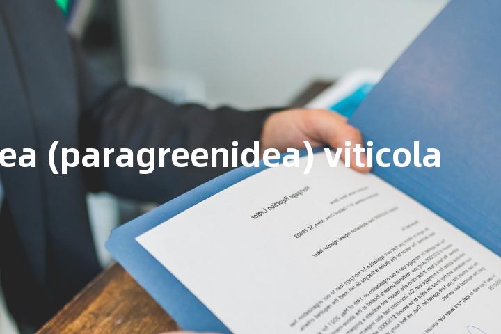 greenidea (paragreenidea) viticola单词图解，单词释义场景配图