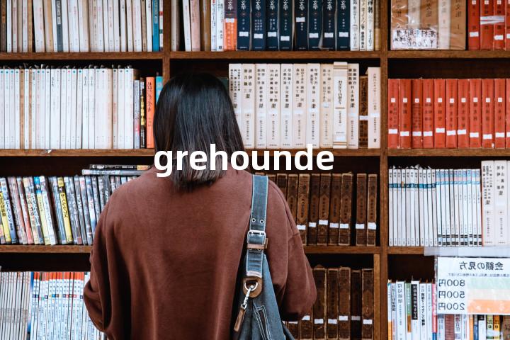 grehounde单词图解，单词释义场景配图