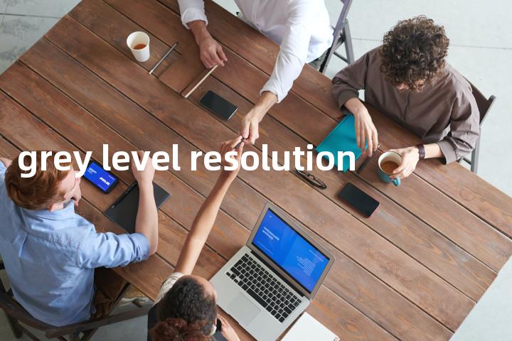 grey level resolution单词图解，单词释义场景配图