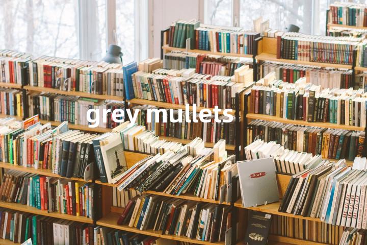 grey mullets单词图解，单词释义场景配图
