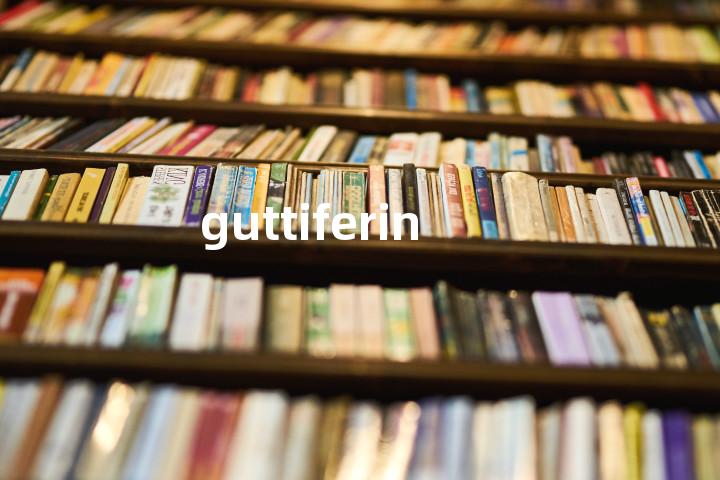 guttiferin单词图解，单词释义场景配图