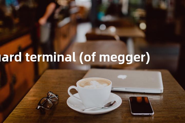 guard terminal (of megger)单词图解，单词释义场景配图