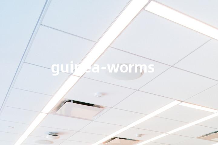 guinea-worms单词图解，单词释义场景配图