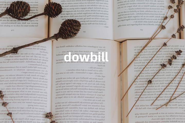 dowbill单词图解，单词释义场景配图