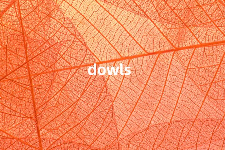 dowls单词图解，单词释义场景配图