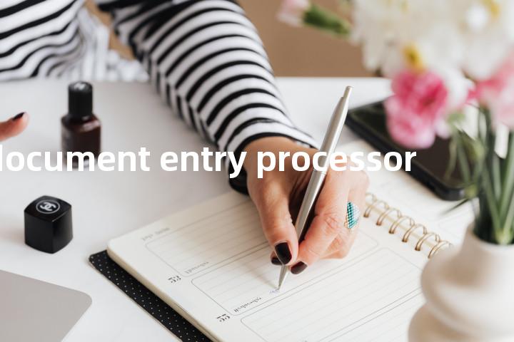 document entry processor单词图解，单词释义场景配图