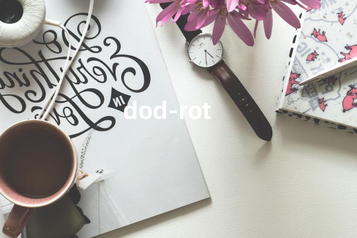 dod-rot单词图解，单词释义场景配图