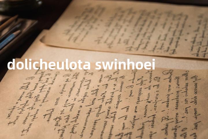 dolicheulota swinhoei单词图解，单词释义场景配图