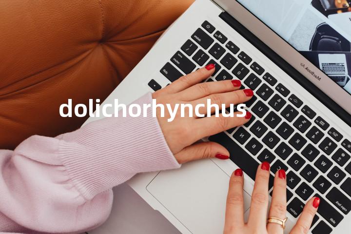 dolichorhynchus单词图解，单词释义场景配图