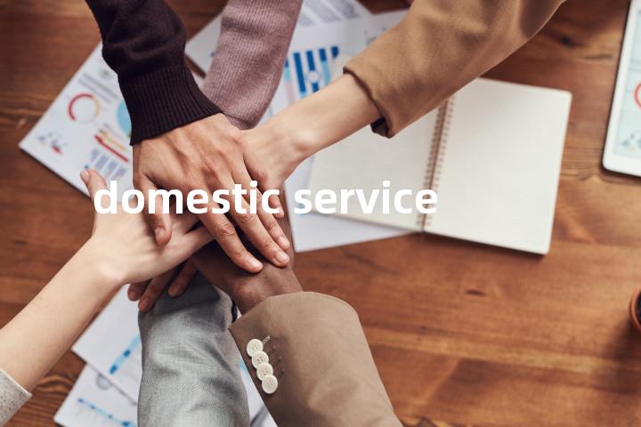 domestic service单词图解，单词释义场景配图