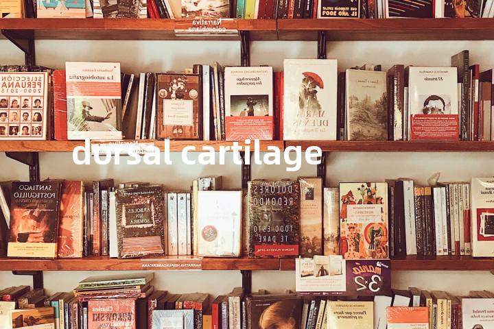 dorsal cartilage单词图解，单词释义场景配图