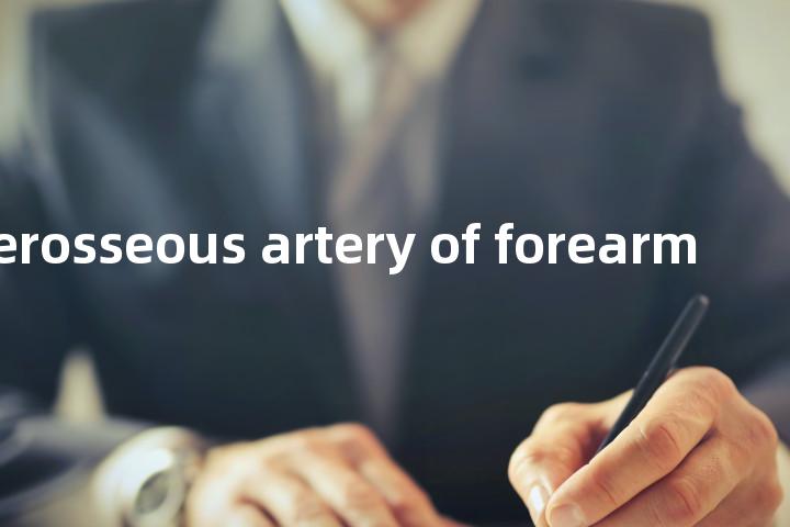 dorsal interosseous artery of forearm单词图解，单词释义场景配图