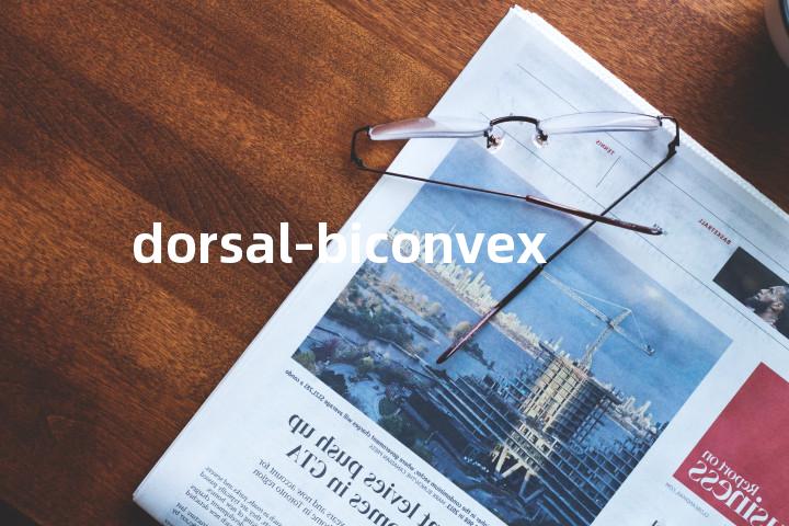 dorsal-biconvex单词图解，单词释义场景配图