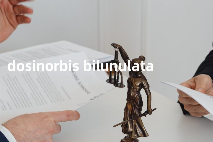 dosinorbis bilunulata单词图解，单词释义场景配图