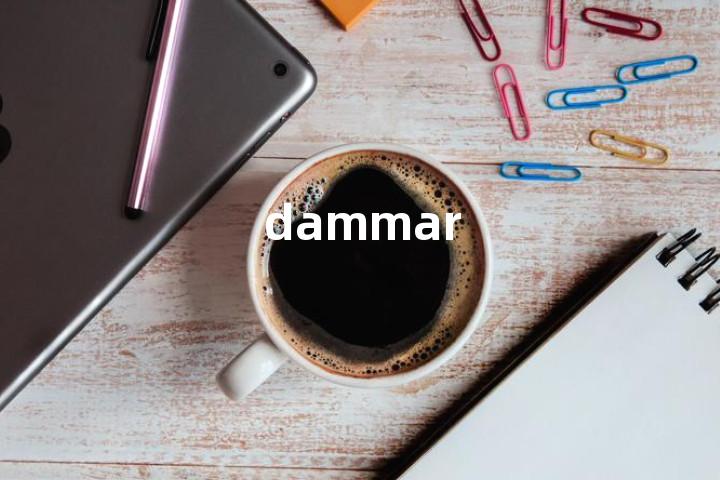 dammar单词图解，单词释义场景配图
