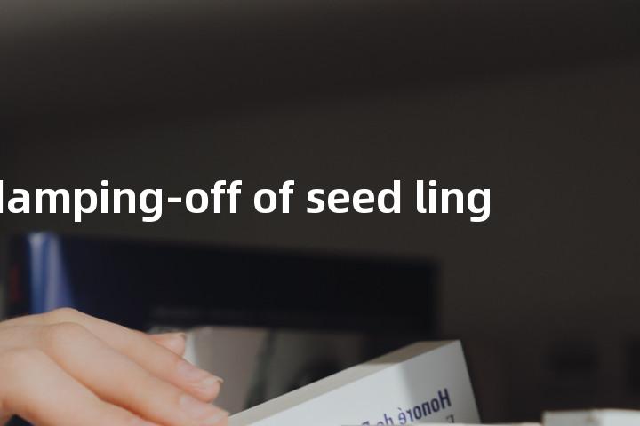 damping-off of seed ling单词图解，单词释义场景配图