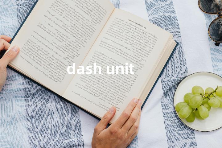 dash unit单词图解，单词释义场景配图