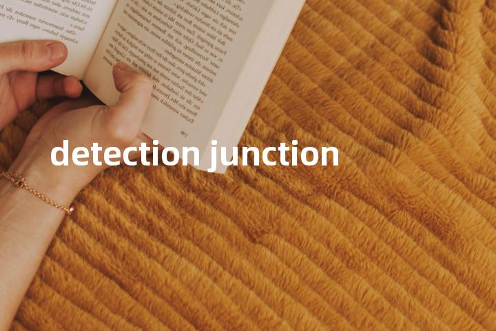 detection junction单词图解，单词释义场景配图