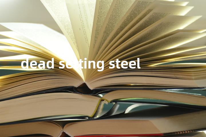 dead setting steel单词图解，单词释义场景配图
