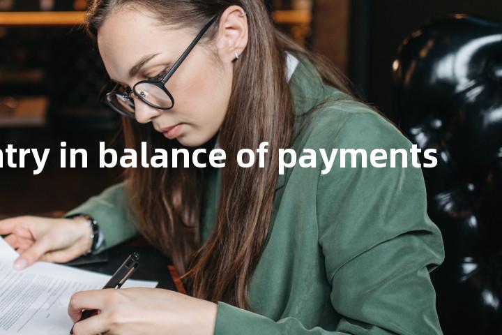debit entry in balance of payments单词图解，单词释义场景配图