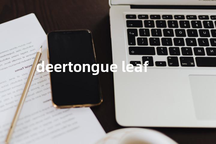 deertongue leaf单词图解，单词释义场景配图