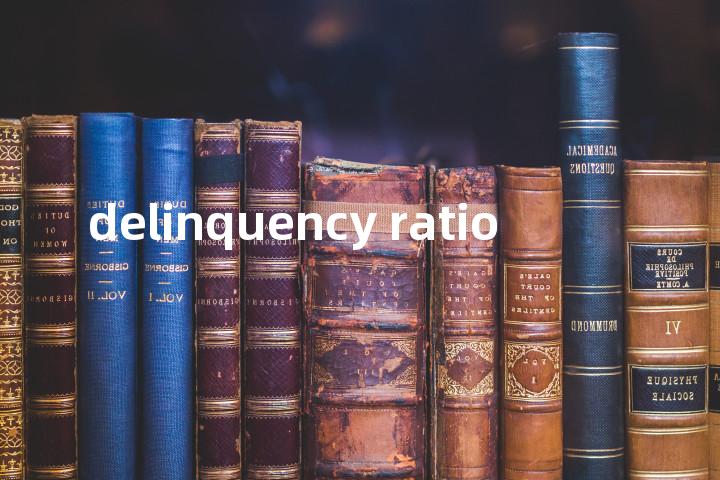 delinquency ratio单词图解，单词释义场景配图