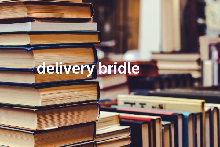 delivery bridle单词图解，单词释义场景配图