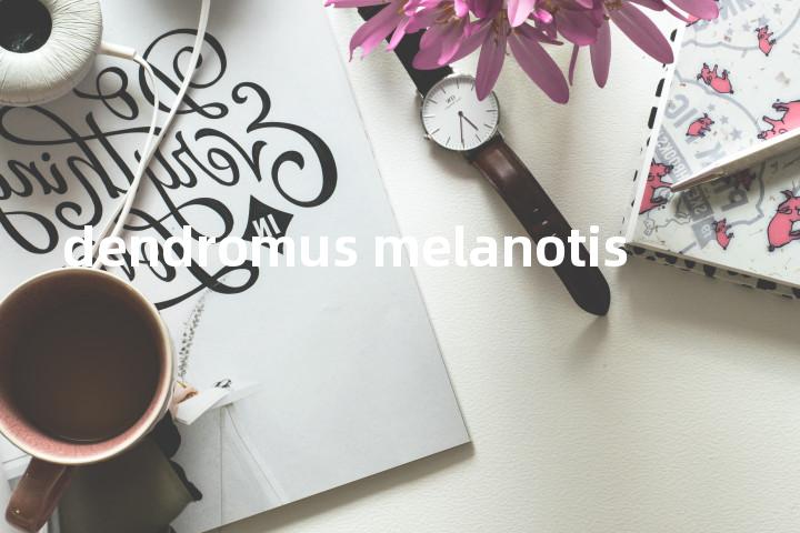 dendromus melanotis单词图解，单词释义场景配图