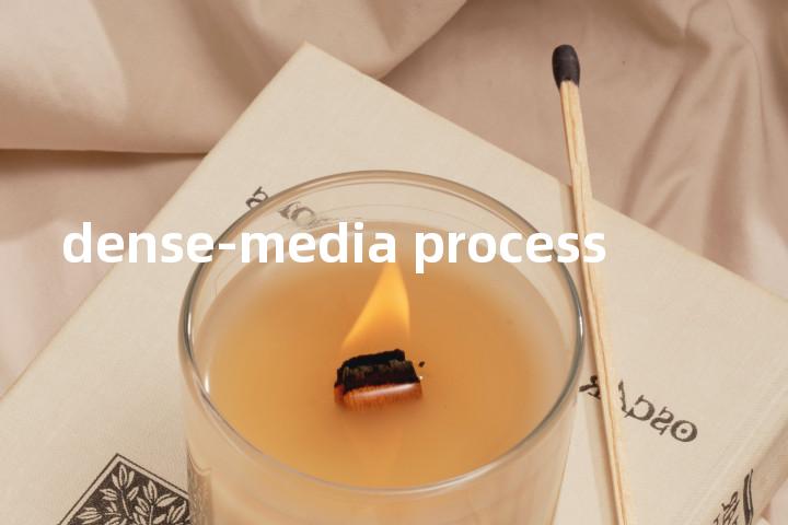dense-media process单词图解，单词释义场景配图