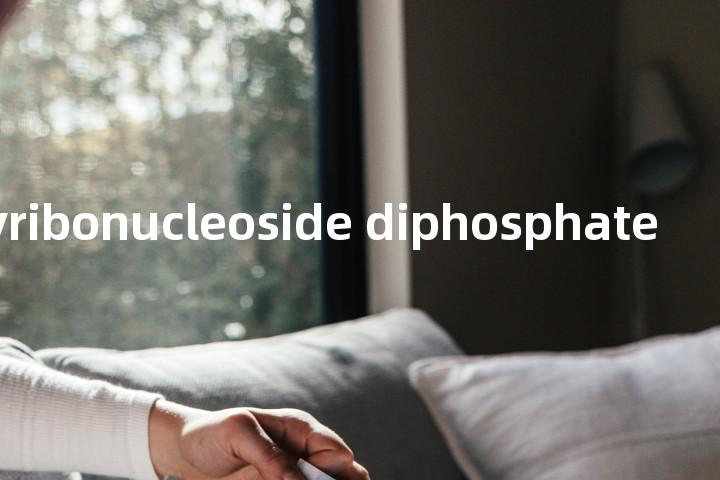 deoxyribonucleoside diphosphate单词图解，单词释义场景配图