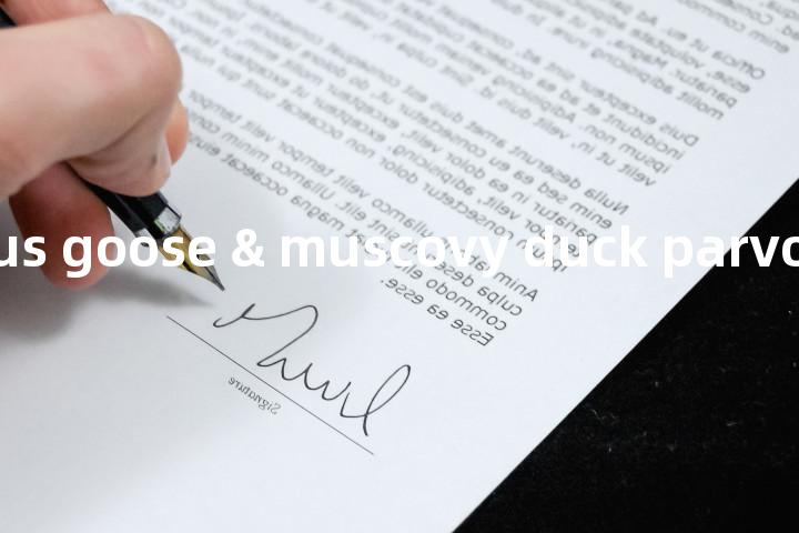 dependovirus goose & muscovy duck parvovirus单词图解，单词释义场景配图