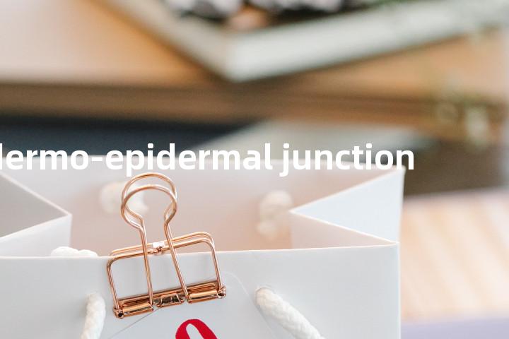 dermo-epidermal junction单词图解，单词释义场景配图