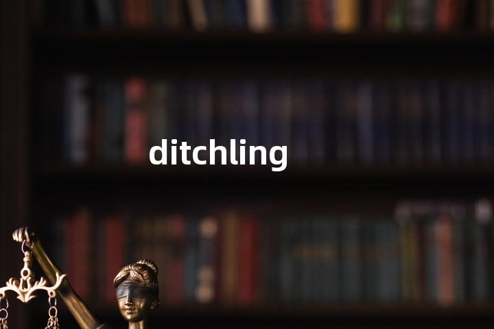 ditchling单词图解，单词释义场景配图