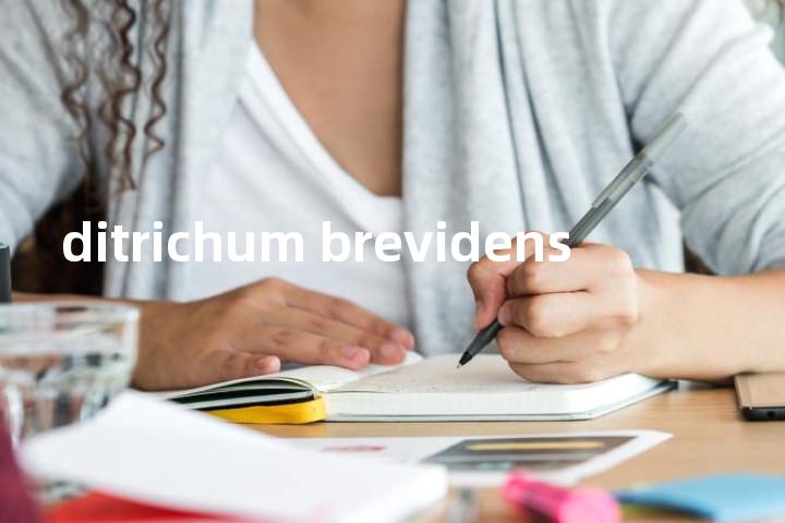 ditrichum brevidens单词图解，单词释义场景配图