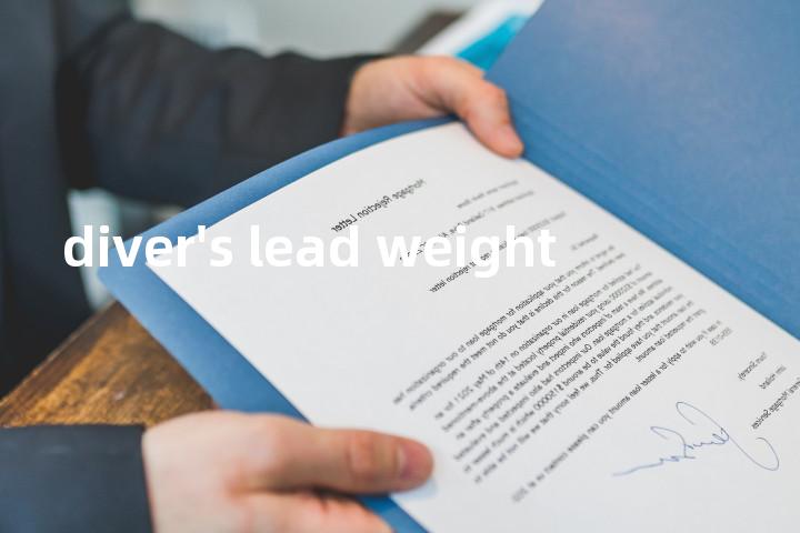diver's lead weight单词图解，单词释义场景配图