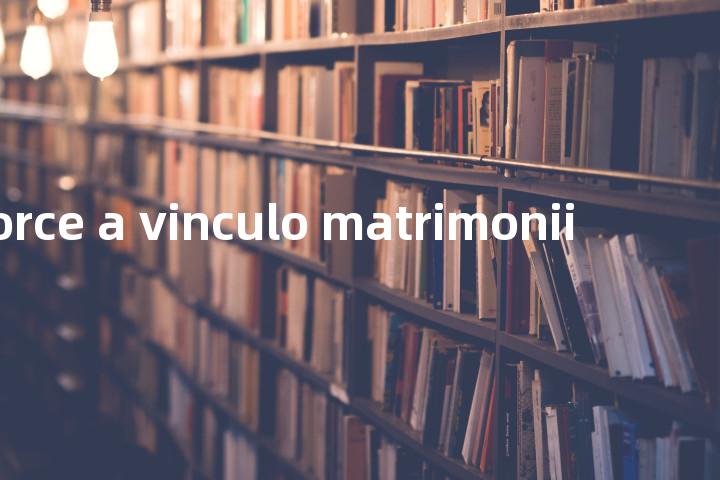 divorce a vinculo matrimonii单词图解，单词释义场景配图