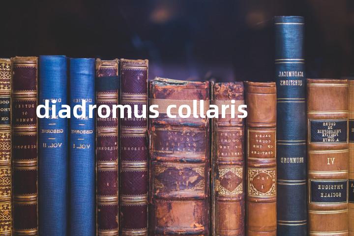 diadromus collaris单词图解，单词释义场景配图