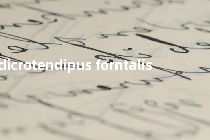 dicrotendipus forntalis单词图解，单词释义场景配图