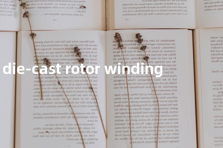die-cast rotor winding单词图解，单词释义场景配图