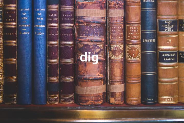 dig