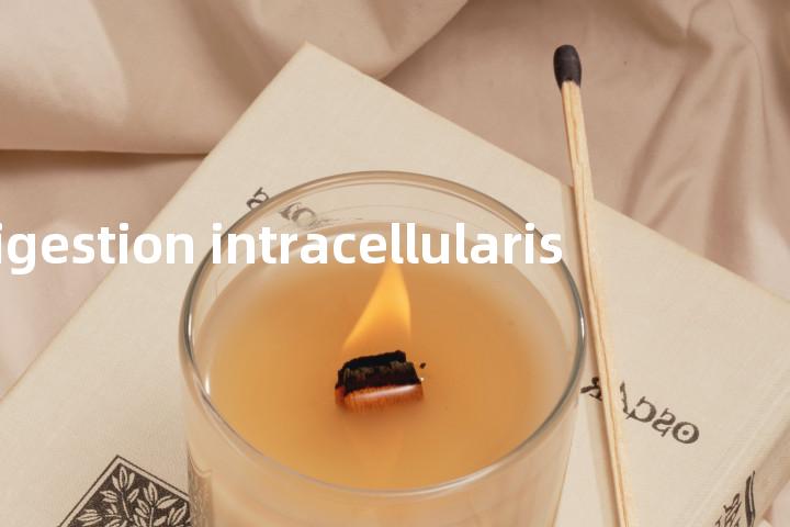 digestion intracellularis单词图解，单词释义场景配图