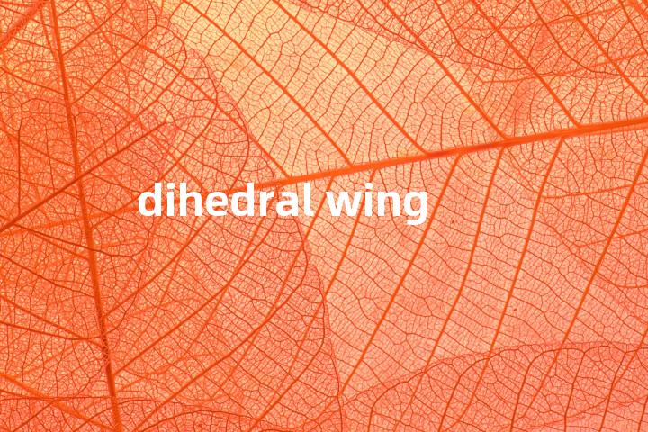 dihedral wing单词图解，单词释义场景配图