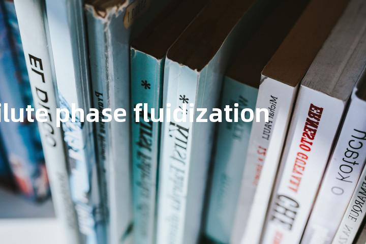 dilute phase fluidization单词图解，单词释义场景配图