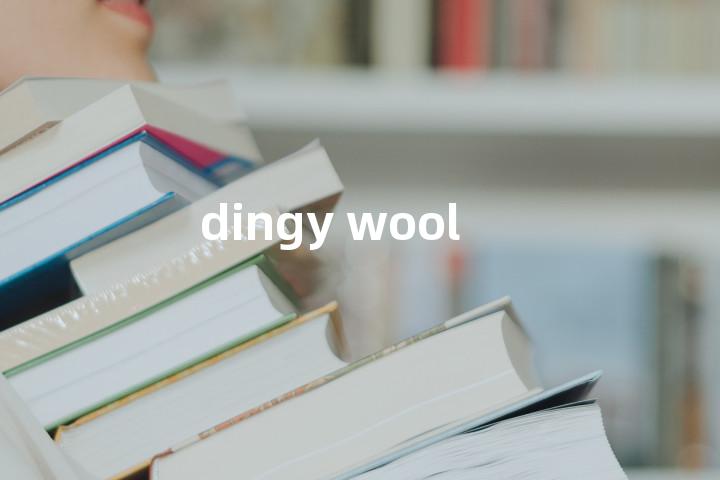 dingy wool单词图解，单词释义场景配图