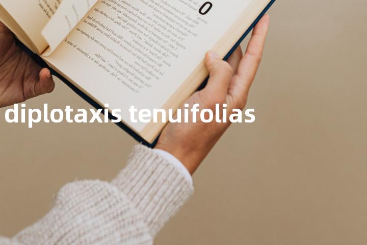 diplotaxis tenuifolias单词图解，单词释义场景配图