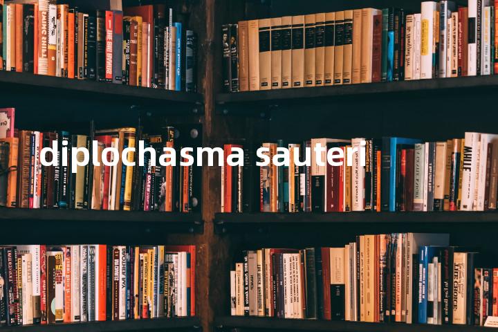 diplochasma sauteri单词图解，单词释义场景配图
