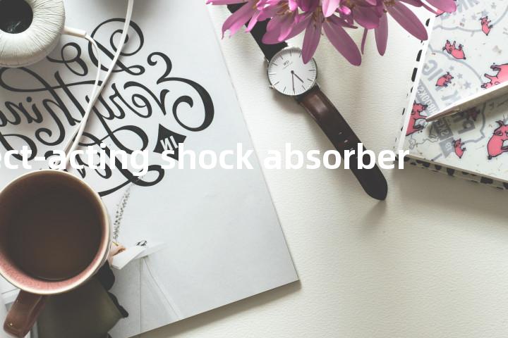 direct-acting shock absorber单词图解，单词释义场景配图